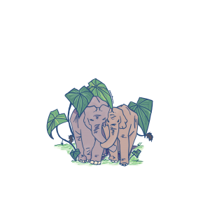 Taro and Elephants