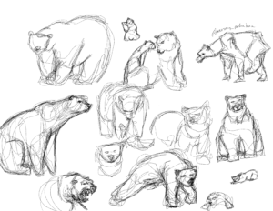 Polar Bear Sketch Session  #1