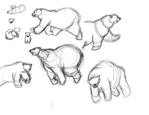 Polar Bear Sketch Session  #2